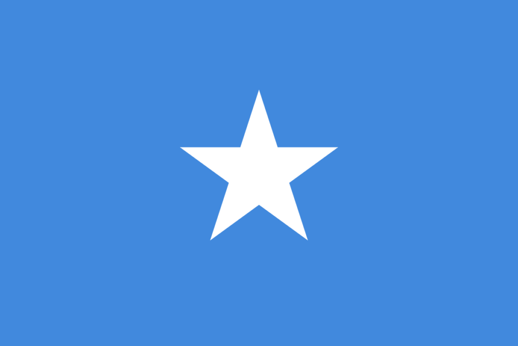 Flag Somali News