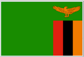 Flag Zambia News